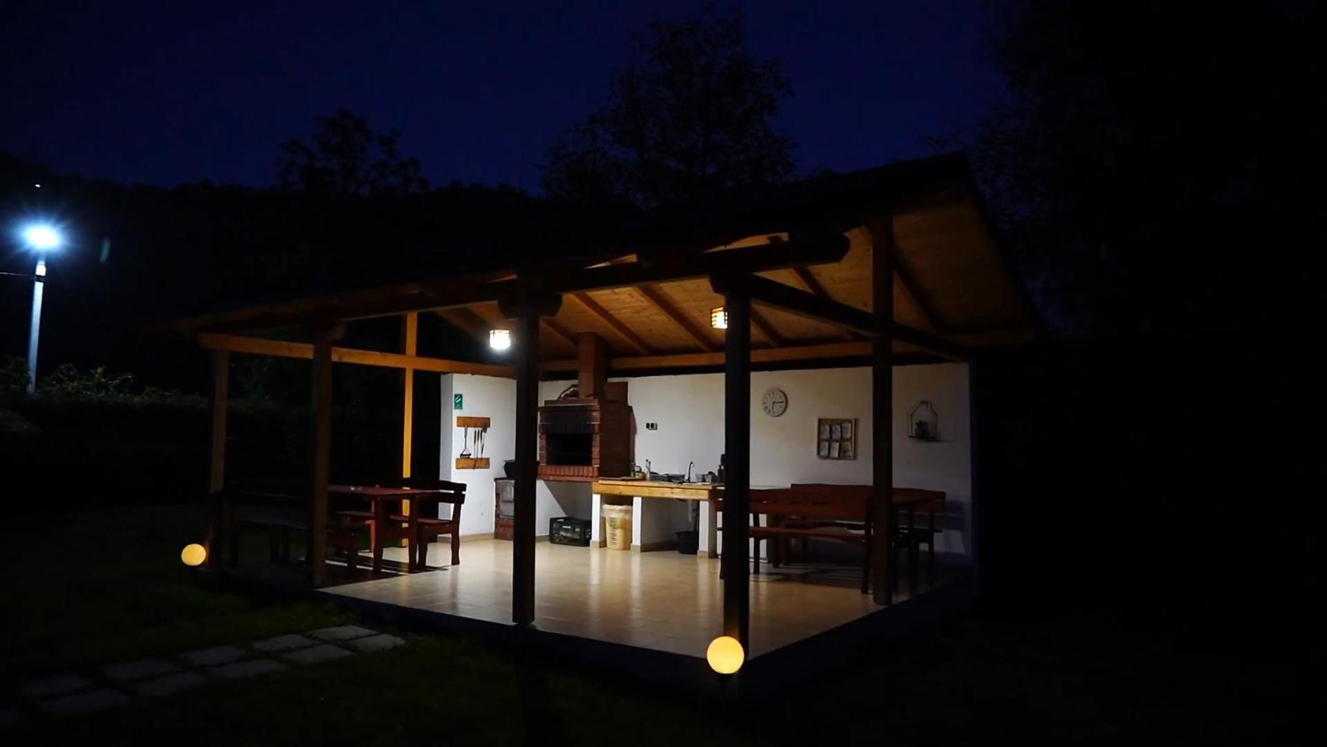 Guest House Carpathia Viseu de Sus Exterior photo