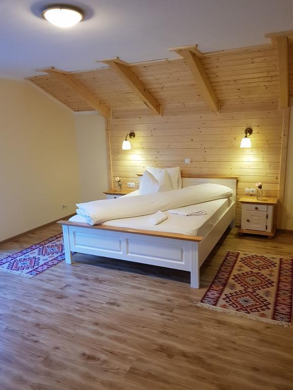 Guest House Carpathia Viseu de Sus Exterior photo